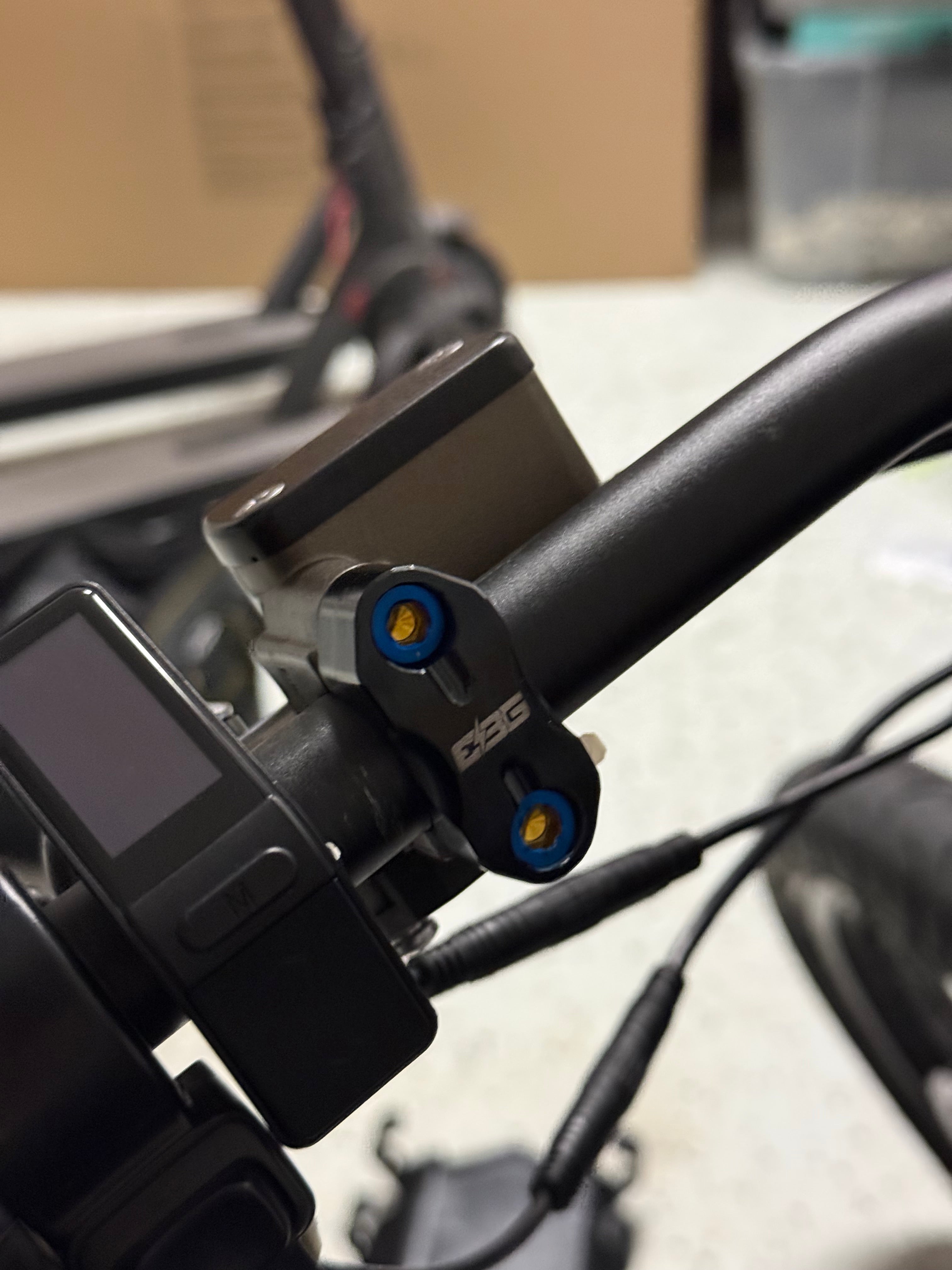Ultra Bee Brake Mount Titanium Bolts